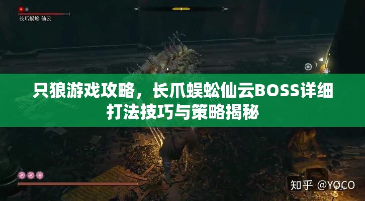 只狼游戏攻略，长爪蜈蚣仙云BOSS详细打法技巧与策略揭秘