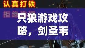 只狼游戏攻略，剑圣苇名一心全面打法揭秘，助你顺利斩断不死宿命之旅