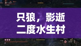 只狼，影逝二度水生村支线任务全攻略，资源管理技巧与最大化任务价值详解