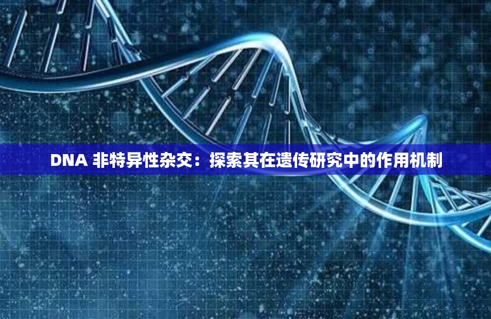 DNA 非特异性杂交：探索其在遗传研究中的作用机制