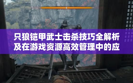 只狼铠甲武士击杀技巧全解析及在游戏资源高效管理中的应用