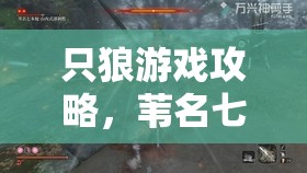 只狼游戏攻略，苇名七本枪BOSS战详尽打法与策略解析