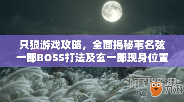 只狼游戏攻略，全面揭秘苇名弦一郎BOSS打法及玄一郎现身位置