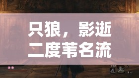 只狼，影逝二度苇名流佐濑甚助BOSS打法攻略及深度战斗技巧解析