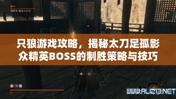 只狼游戏攻略，揭秘太刀足孤影众精英BOSS的制胜策略与技巧