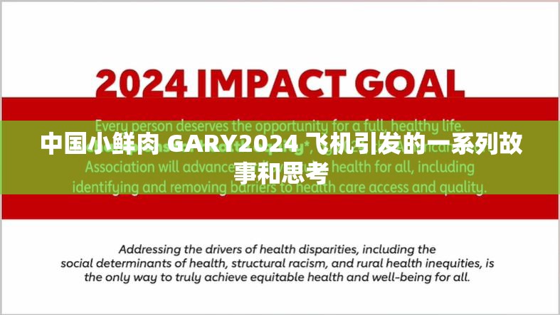 中国小鲜肉 GARY2024 飞机引发的一系列故事和思考