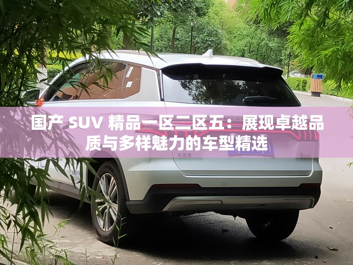 国产 SUV 精品一区二区五：展现卓越品质与多样魅力的车型精选