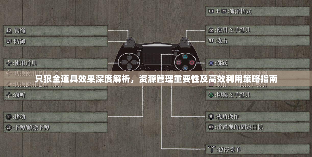 只狼全道具效果深度解析，资源管理重要性及高效利用策略指南