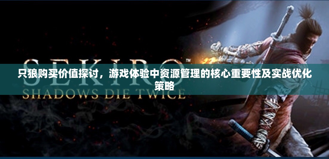 只狼购买价值探讨，游戏体验中资源管理的核心重要性及实战优化策略