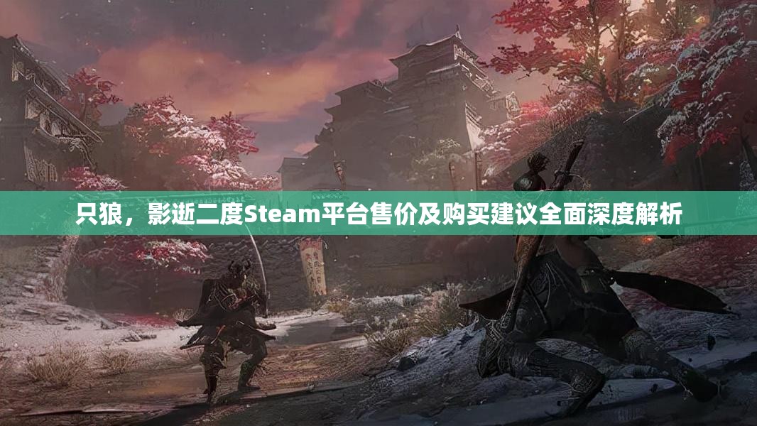 只狼，影逝二度Steam平台售价及购买建议全面深度解析