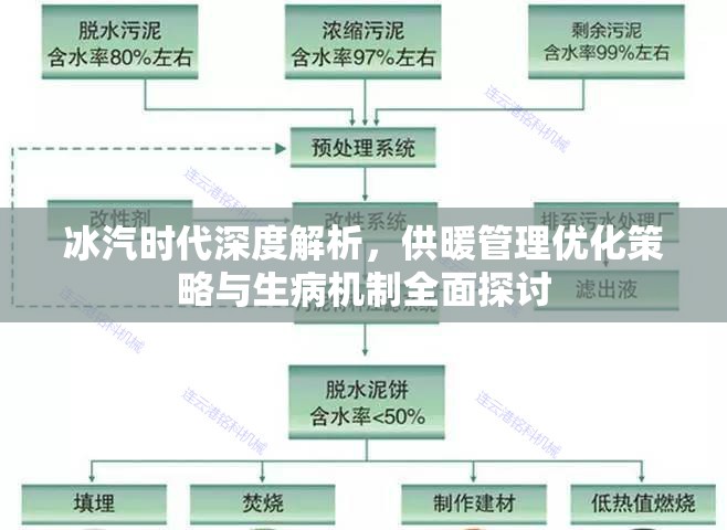 冰汽时代深度解析，供暖管理优化策略与生病机制全面探讨