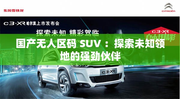 国产无人区码 SUV ：探索未知领地的强劲伙伴