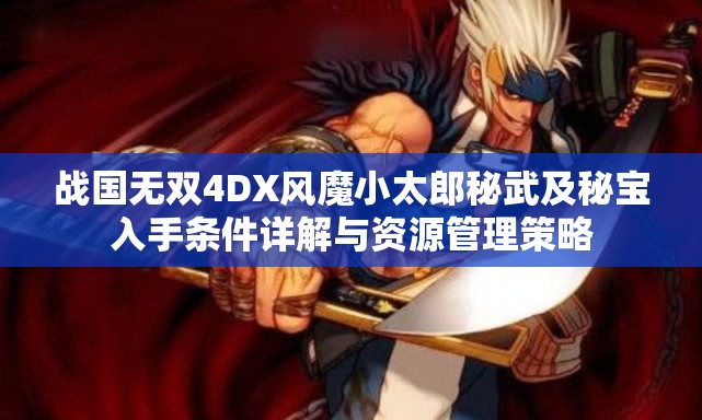 战国无双4DX风魔小太郎秘武及秘宝入手条件详解与资源管理策略