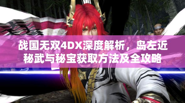 战国无双4DX深度解析，岛左近秘武与秘宝获取方法及全攻略