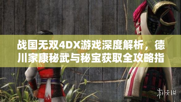 战国无双4DX游戏深度解析，德川家康秘武与秘宝获取全攻略指南