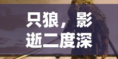 只狼，影逝二度深度攻略——高效捡取道具与精妙资源管理艺术解析