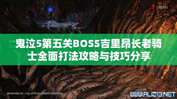 鬼泣5第五关BOSS吉里昂长老骑士全面打法攻略与技巧分享