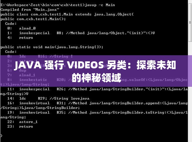 JAVA 强行 VIDEOS 另类：探索未知的神秘领域