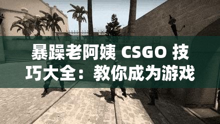 暴躁老阿姨 CSGO 技巧大全：教你成为游戏大神