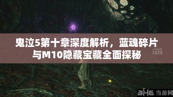 鬼泣5第十章深度解析，蓝魂碎片与M10隐藏宝藏全面探秘