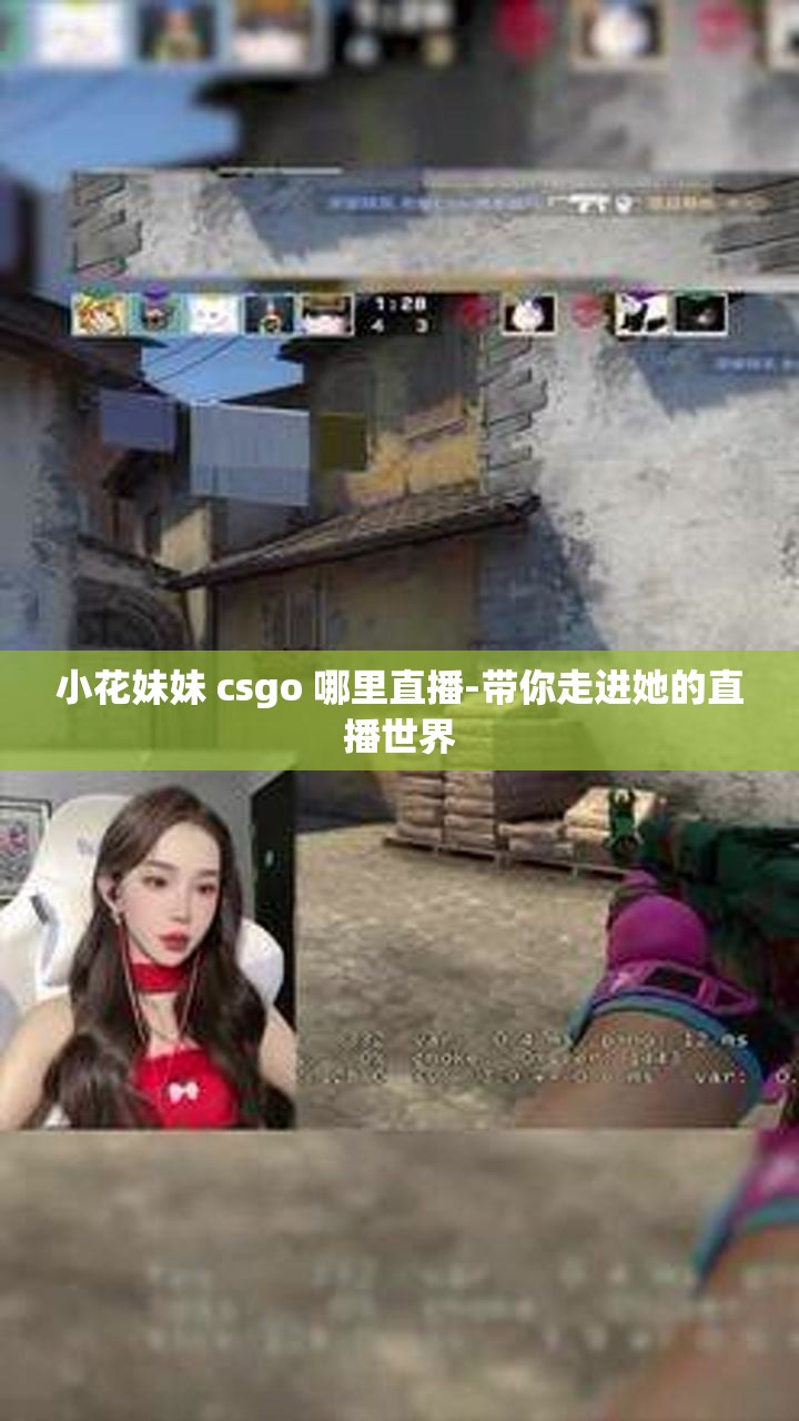 小花妹妹 csgo 哪里直播-带你走进她的直播世界