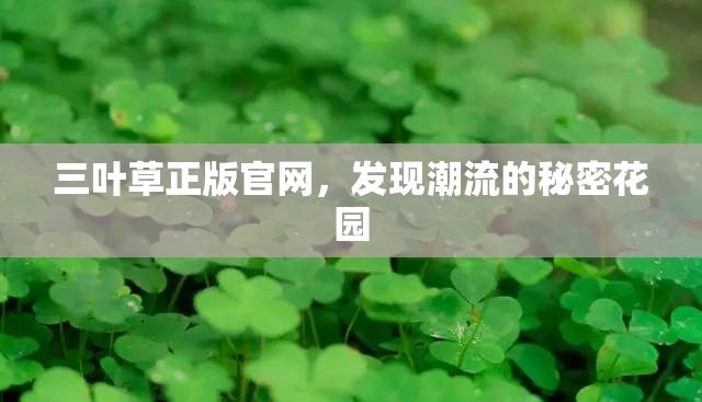 三叶草正版官网，发现潮流的秘密花园