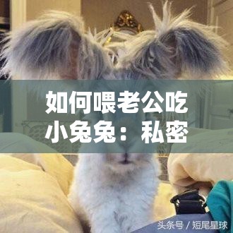 如何喂老公吃小兔兔：私密技巧分享