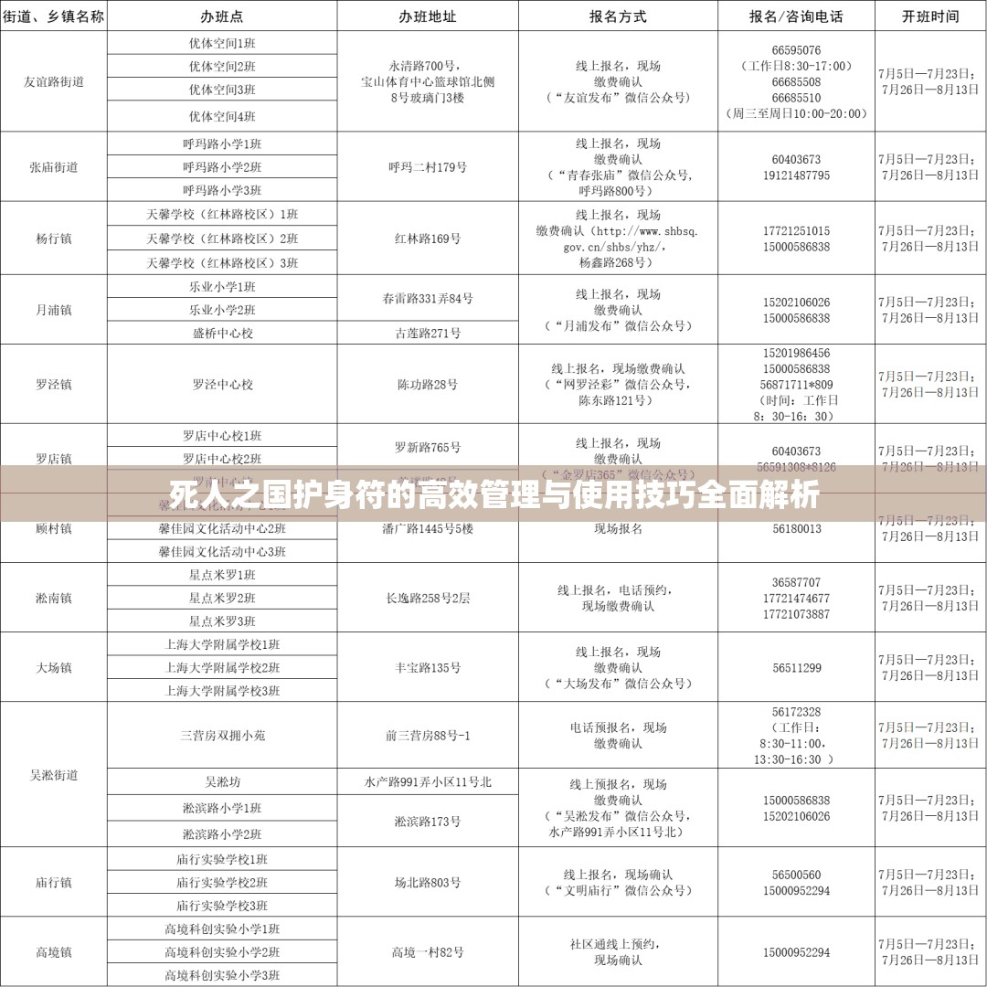 死人之国护身符的高效管理与使用技巧全面解析