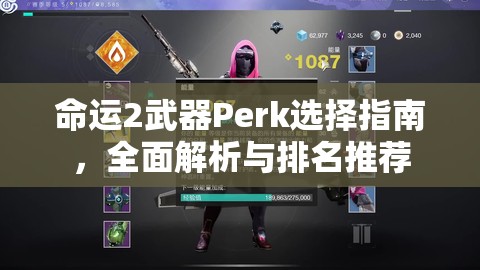 命运2武器Perk选择指南，全面解析与排名推荐