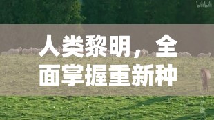 人类黎明，全面掌握重新种植技巧与种田失误补救策略全攻略