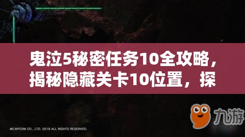 鬼泣5秘密任务10全攻略，揭秘隐藏关卡10位置，探讨资源管理重要性及高效利用策略