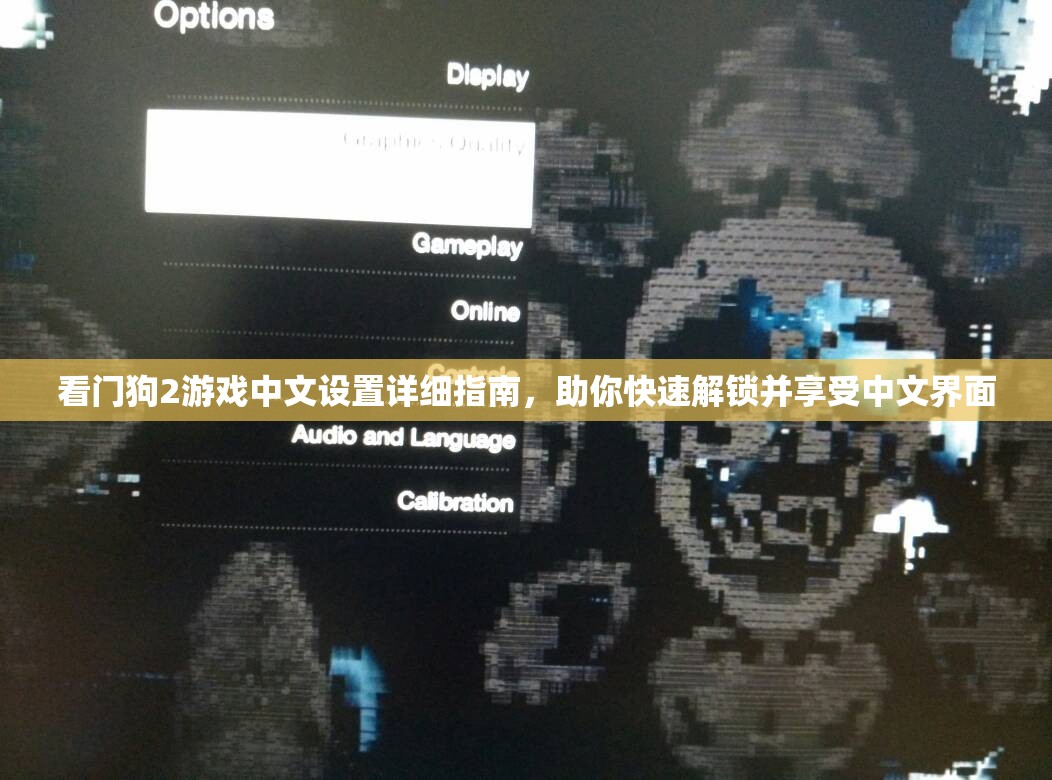 看门狗2游戏中文设置详细指南，助你快速解锁并享受中文界面