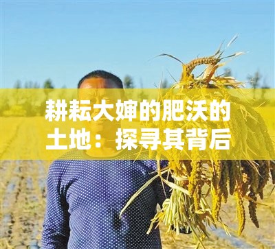 耕耘大婶的肥沃的土地：探寻其背后的农耕智慧与收获