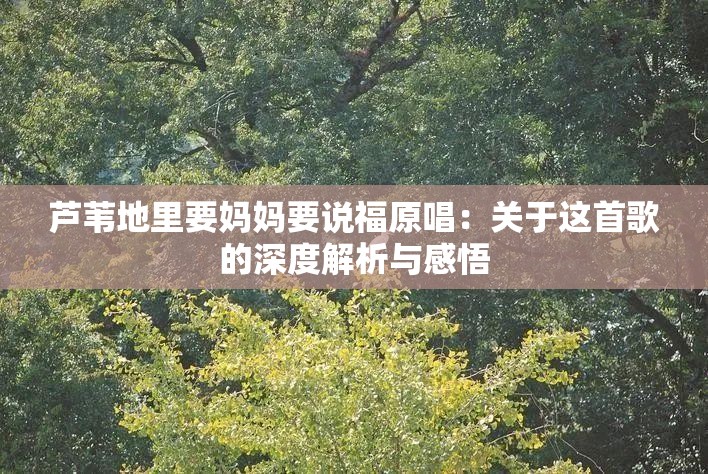 芦苇地里要妈妈要说福原唱：关于这首歌的深度解析与感悟