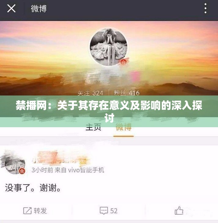 禁播网：关于其存在意义及影响的深入探讨