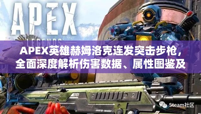 APEX英雄赫姆洛克连发突击步枪，全面深度解析伤害数据、属性图鉴及应用策略