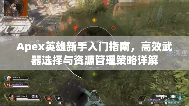 Apex英雄新手入门指南，高效武器选择与资源管理策略详解