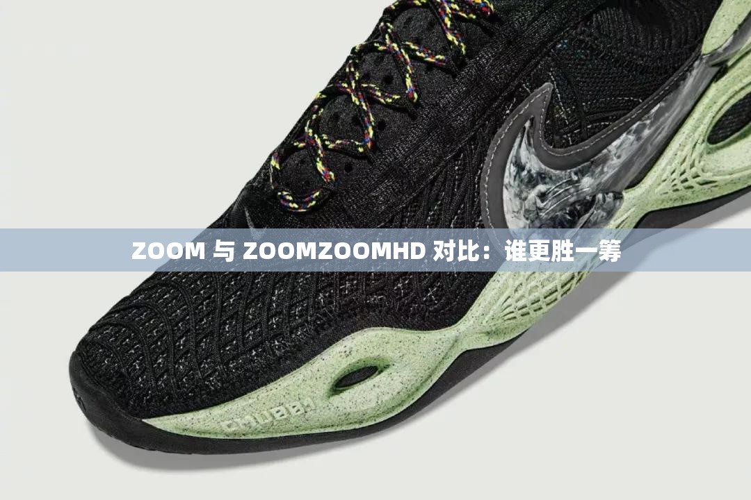 ZOOM 与 ZOOMZOOMHD 对比：谁更胜一筹