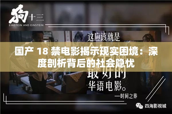 国产 18 禁电影揭示现实困境：深度剖析背后的社会隐忧