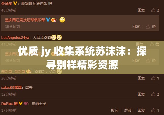 优质 jy 收集系统苏沫沫：探寻别样精彩资源