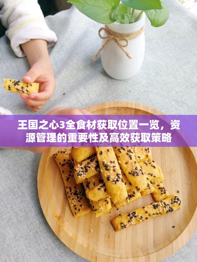 王国之心3全食材获取位置一览，资源管理的重要性及高效获取策略