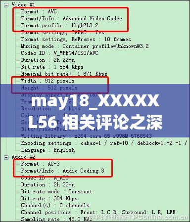 may18_XXXXXL56 相关评论之深入分析与探讨