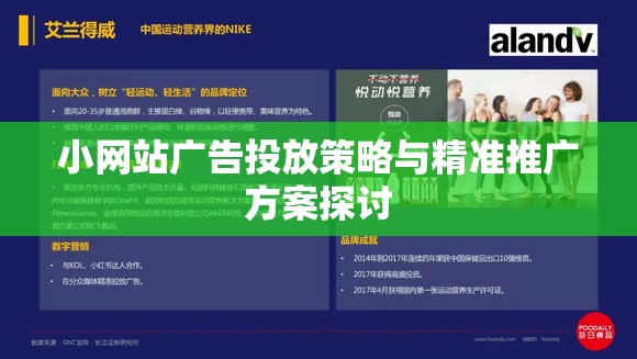 小网站广告投放策略与精准推广方案探讨