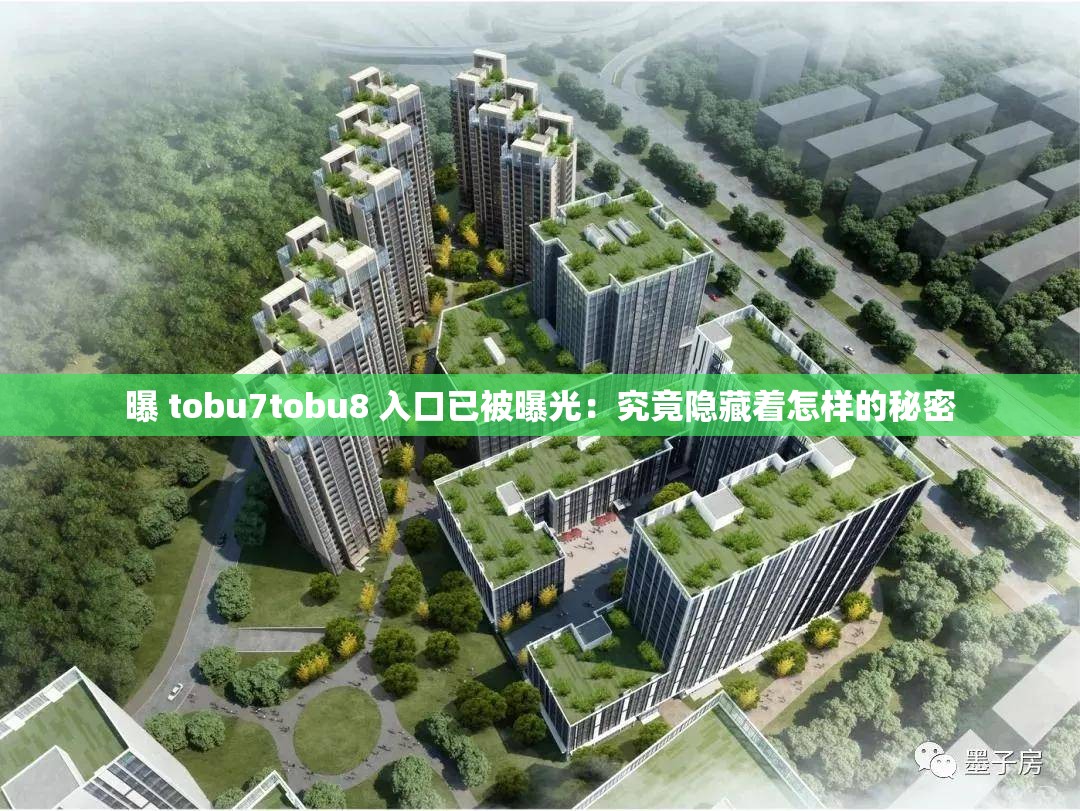 曝 tobu7tobu8 入口已被曝光：究竟隐藏着怎样的秘密