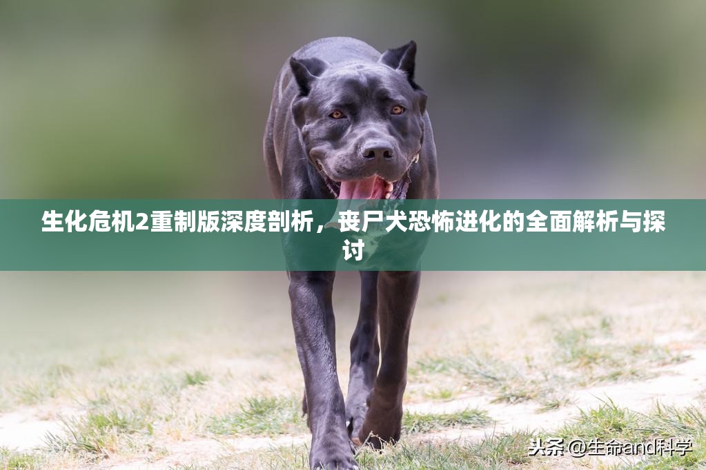 生化危机2重制版深度剖析，丧尸犬恐怖进化的全面解析与探讨