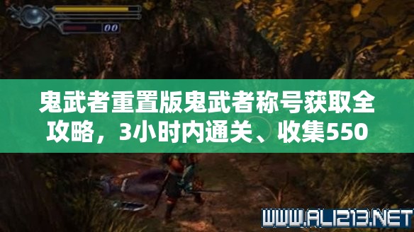 鬼武者重置版鬼武者称号获取全攻略，3小时内通关、收集55000魂、击杀600敌