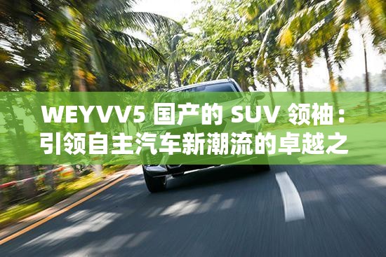 WEYVV5 国产的 SUV 领袖：引领自主汽车新潮流的卓越之选