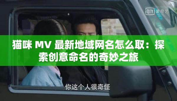 猫咪 MV 最新地域网名怎么取：探索创意命名的奇妙之旅