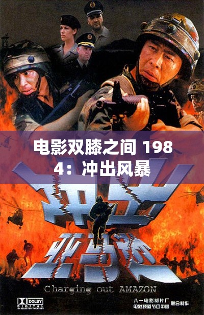 电影双膝之间 1984：冲出风暴