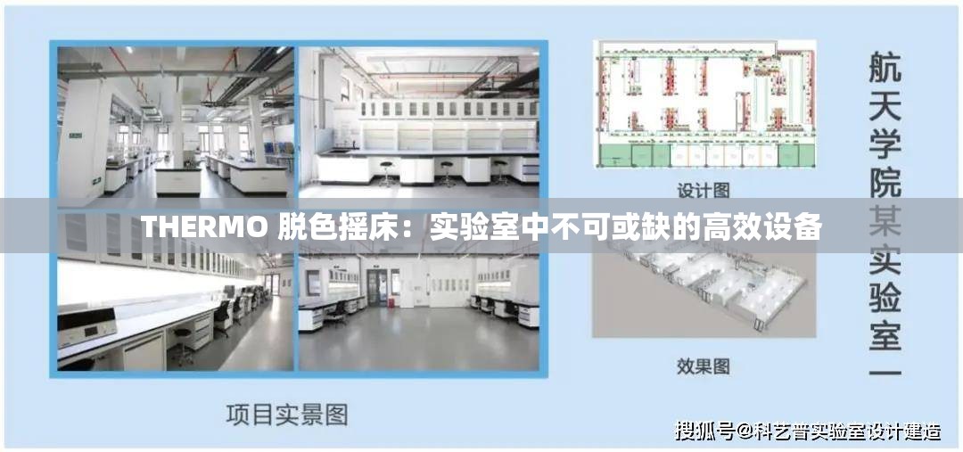 THERMO 脱色摇床：实验室中不可或缺的高效设备